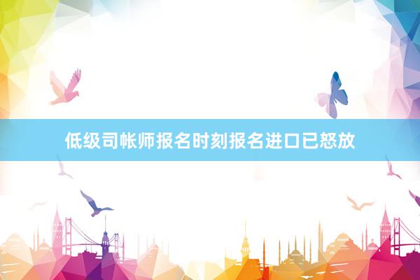 低级司帐师报名时刻报名进口已怒放
