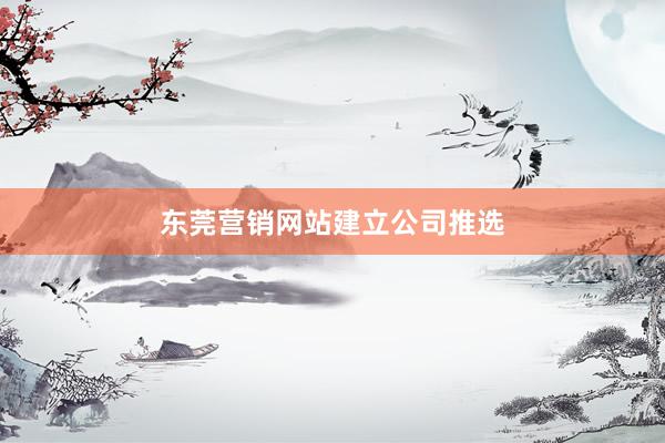 东莞营销网站建立公司推选