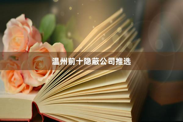 温州前十隐蔽公司推选