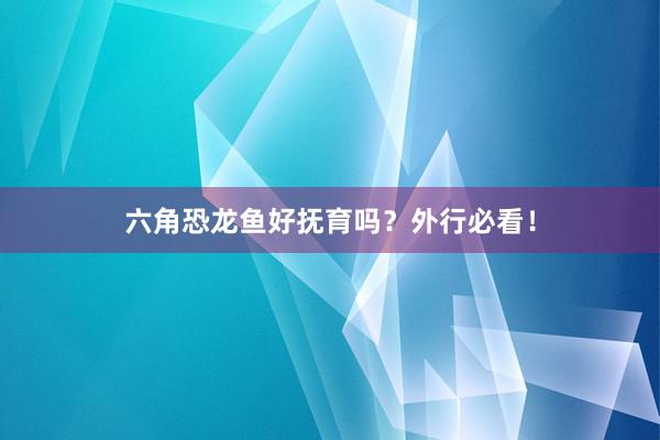 六角恐龙鱼好抚育吗？外行必看！